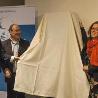 Local Crisis Machine