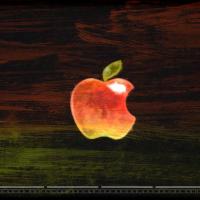 Time o the Signs Bidner Reinhold