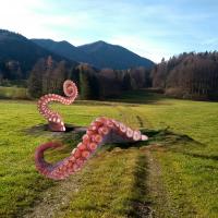 Take care when you take a walk!