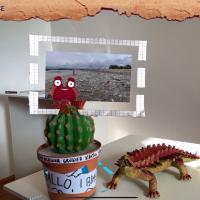 Stroycase Plastic waste