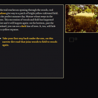 This is a black parallelepipedon in a yellow field