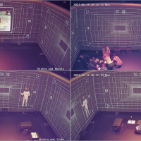 BORDER GRID surveillance