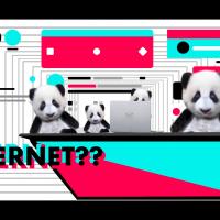 Internet Gaga Still 04