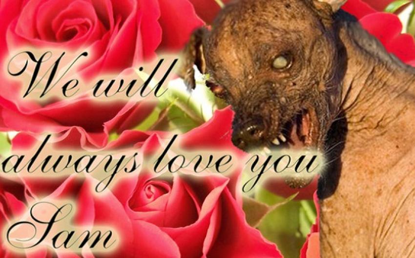 Same Time Same Station