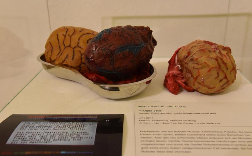 Frankenstein Experiments