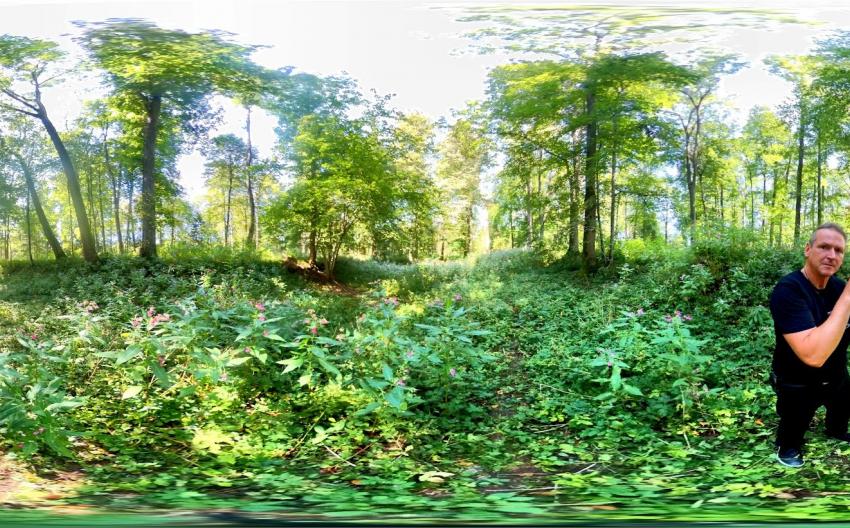 Arme Arten / Poor Species