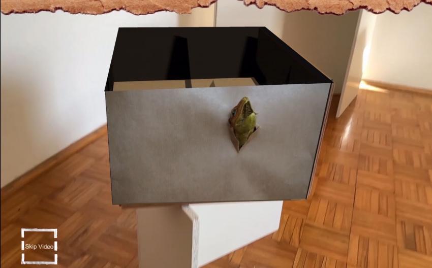 Storycase Dinosaur Jr