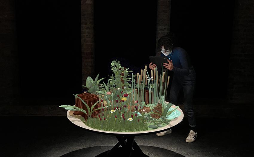 Insects & Us von Kris Hofmann