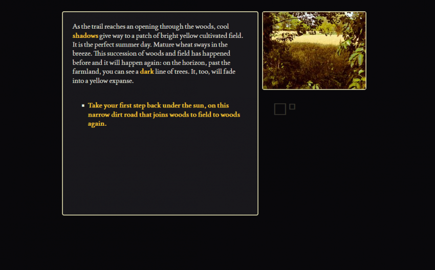 This is a black parallelepipedon in a yellow field