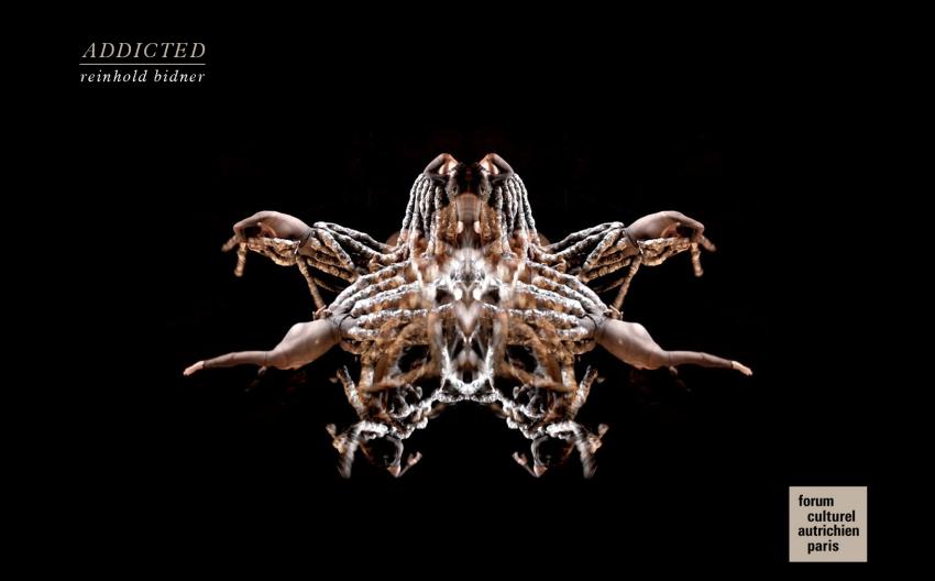 Addicted Bidner Img1