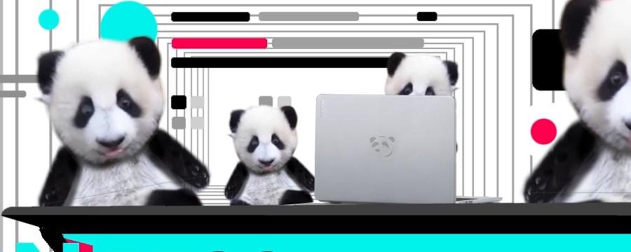 Internet Gaga Still 04